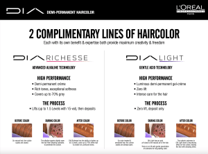 Diarichesse, Salon Hair Colour & Bleach