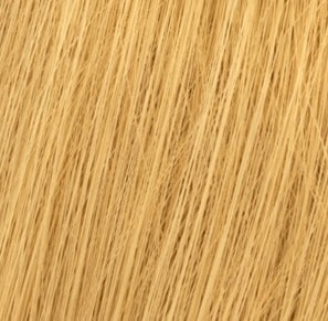 10/3 - Lightest Gold Blonde