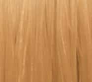 8/37 - Light Gold Brunette Blond